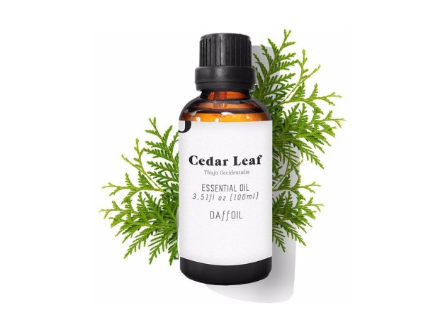 Daffoil Cedar Leaf Essential Oil 100Ml