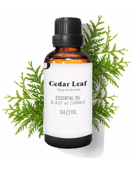 Daffoil Cedar Leaf Essential Oil 100Ml