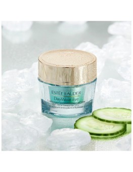 Estee Lauder Day Wear Eye...