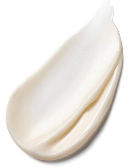 Estee Lauder Nutritious Melting Soft Creme Mask 50Ml