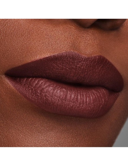 Estée Lauder Pure Color Lipstick 812 Change The World 3.5G