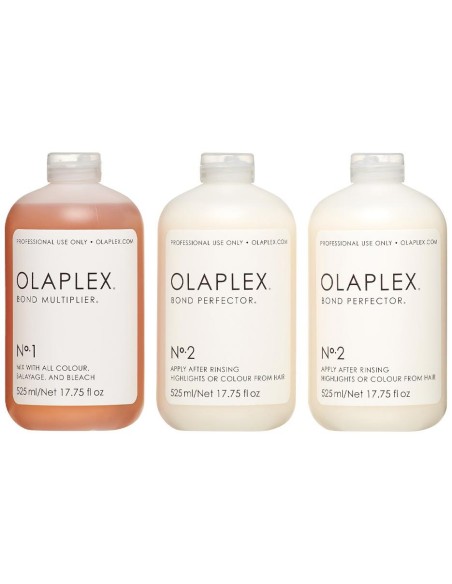 Olaplex Salon Intro Kit
