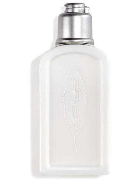 L'Occitane Verbena Leche Corporal 70Ml