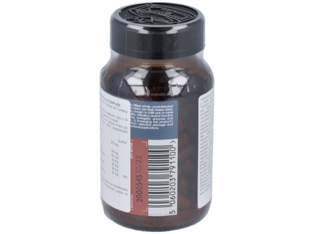Terra Nova Hierro Bisciglinato 20Mg 100Caps
