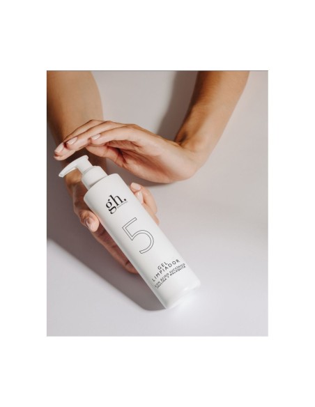 GH 5 Gel Limpiador 250 ml