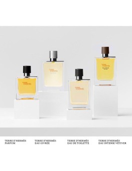 Terre D'Hermès Eau De...