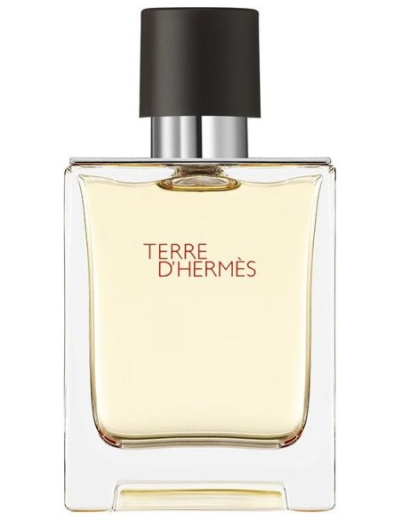 Terre D'Hermès Eau De Toilette Vaporizador 50 Ml