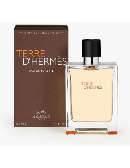 Terre D'Hermès Eau De Toilette Vaporizador 100 Ml