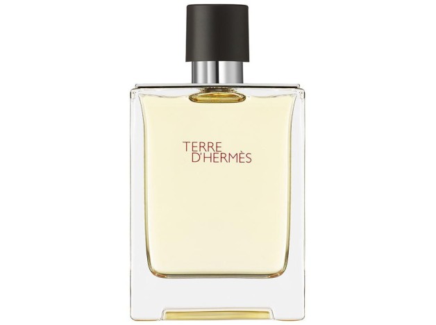 Terre D'Hermès Eau De Toilette Vaporizador 100 Ml