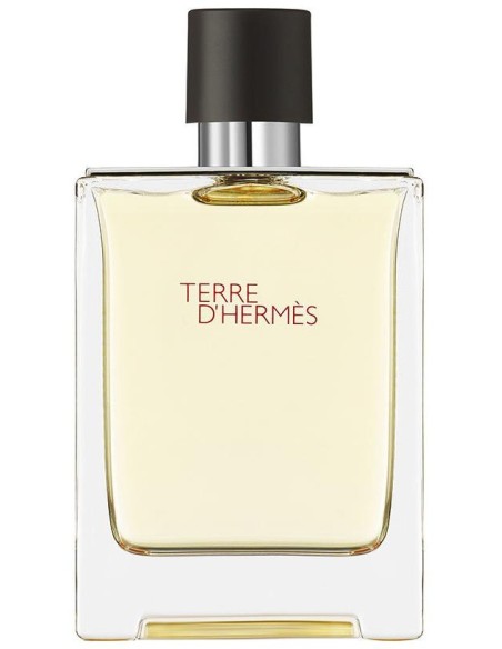 Terre D'Hermès Eau De Toilette Vaporizador 100 Ml