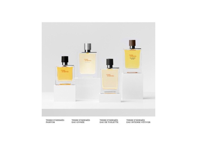 Terre D'Hermès Eau Givrée Eau De Parfum...