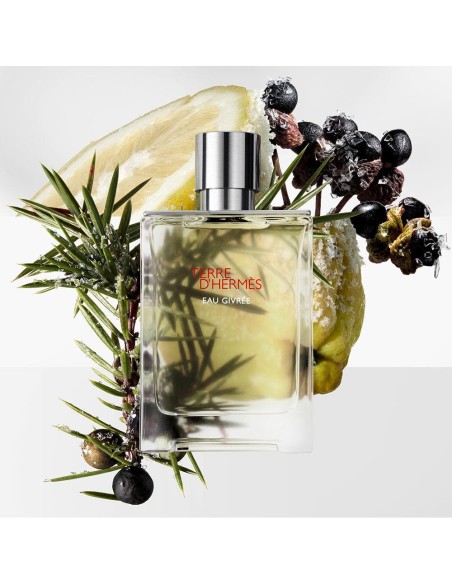 Terre D'Hermès Eau Givrée Eau De Parfum Refillable 100 Ml