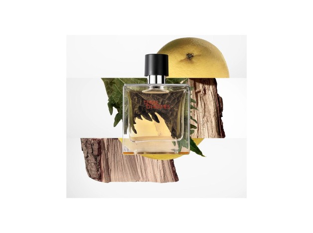 Hermes Paris Terre D'Hermès Eau De Parfum 200Ml