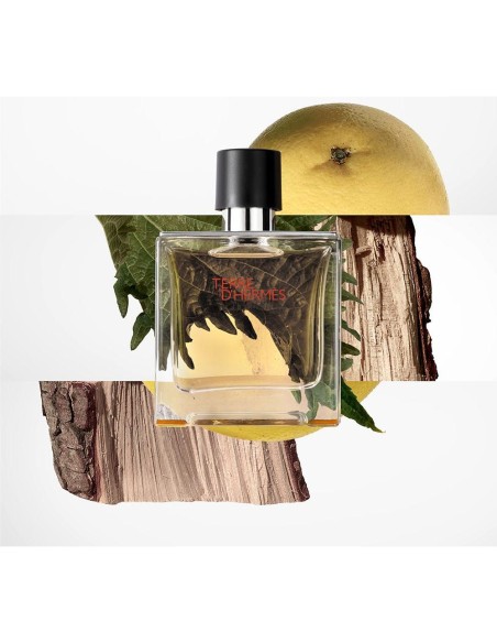 Hermes Paris Terre D'Hermès Eau De Parfum 200Ml