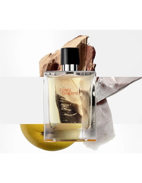 Terre D'Hermès Eau De Toilette Vaporizador 200 Ml