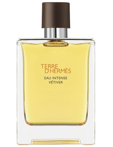 Terre D'Hermès Eau Intense Vétiver Eau De Parfum Vaporizador 100 Ml