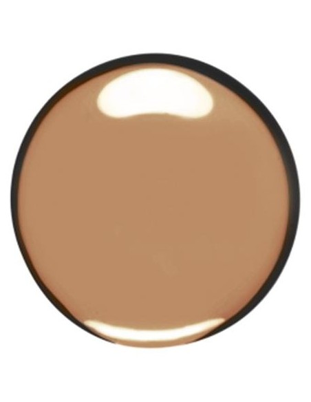 Skin Illusion Teint Naturel Hydratation 113-Chestnut