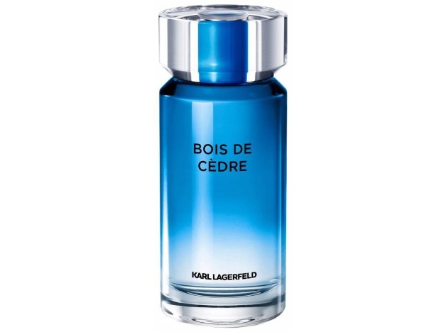 Bois De Cèdre Eau De Toilette Vaporizador 100 Ml