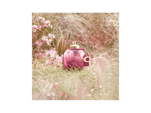Coach Wild Rose Edp Vapo 30 Ml
