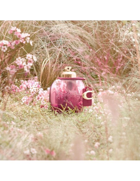 Coach Wild Rose Edp Vapo 30 Ml