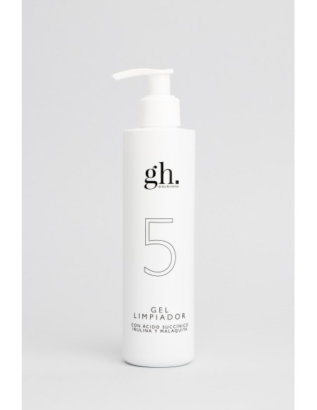 GH 5 Gel Limpiador 250 ml