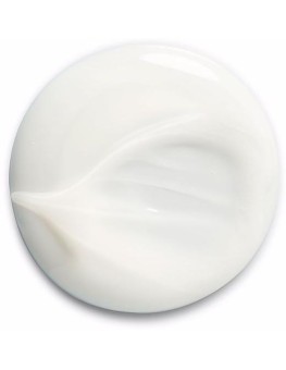 Shu Uemura Silk Bloom...