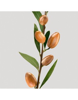Shu Uemura Silk Bloom...