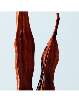 Shu Uemura Urban Moisture...