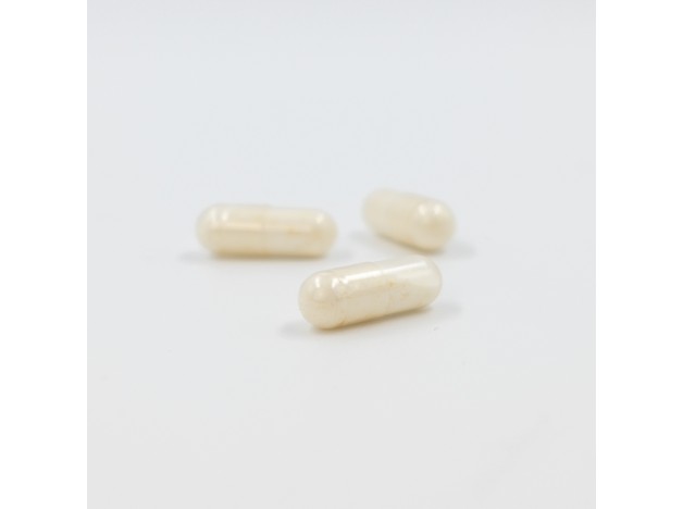 Inovance Probiovance Premium 30 Cápsulas