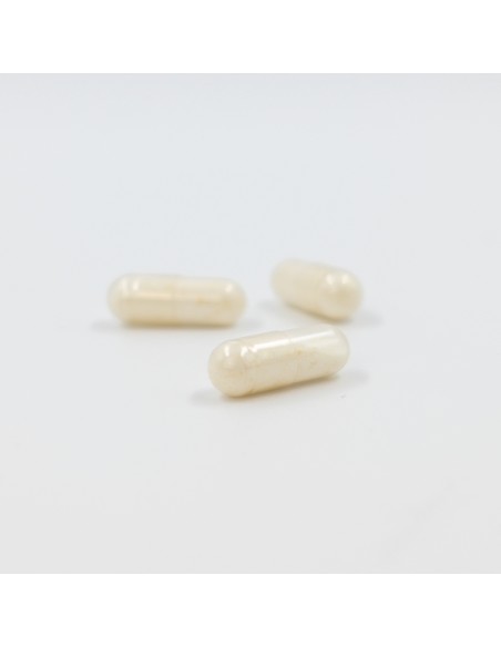 Inovance Probiovance Premium 30 Cápsulas