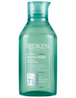 Redken Amino Mint Shampoo...