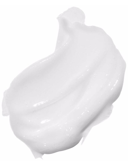Redken Blondage High Bright Conditioner 300Ml