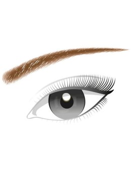 Color Riche Brow Artist...