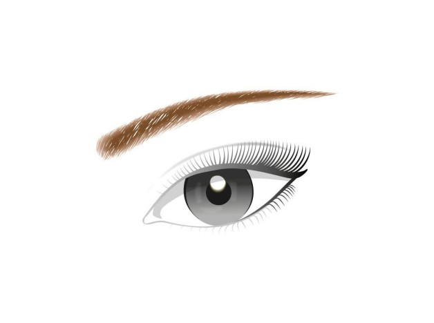 Color Riche Brow Artist Crayon Sourcils...