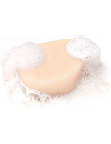 Garnier Original Remedies Champú Sólido Suave Calmante 60G