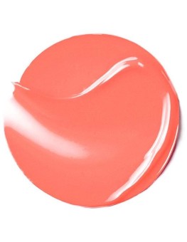 Bourjois Healthy Mix Lip...