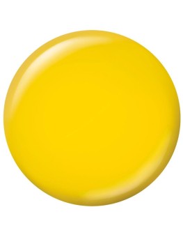 Sally Hansen Miracle Gel...