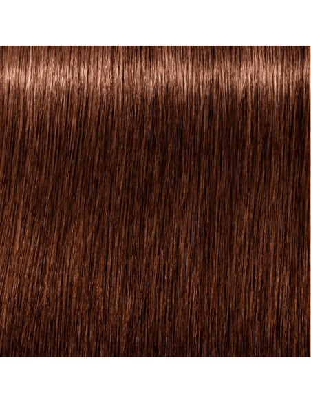 Schwarzkopf Igora Royal Tinte De Cabello Color 6-6 60Ml