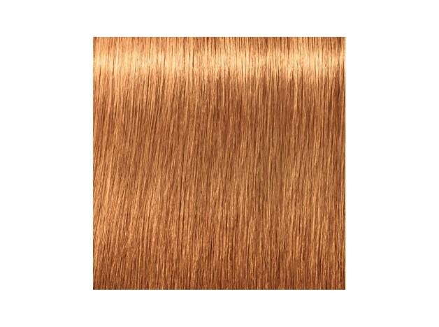 Schwarzkopf Igora Royal Absolutes 9 60 60Ml