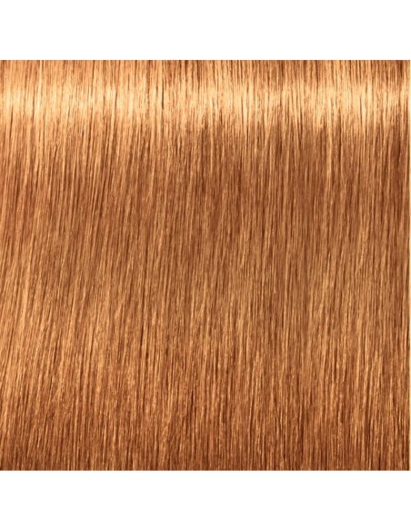 Schwarzkopf Igora Royal Absolutes 9 60 60Ml