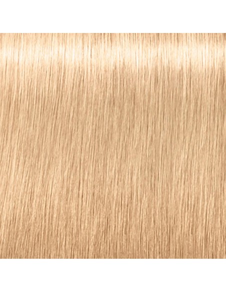 Schwarzkopf Igora Royal Highlifts Tinte Nro 12-0 60Ml