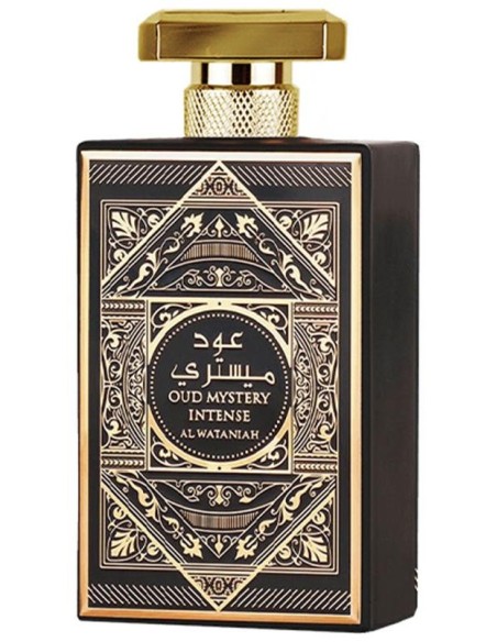 Oud Mystery Intense Edp Vapo 100 Ml