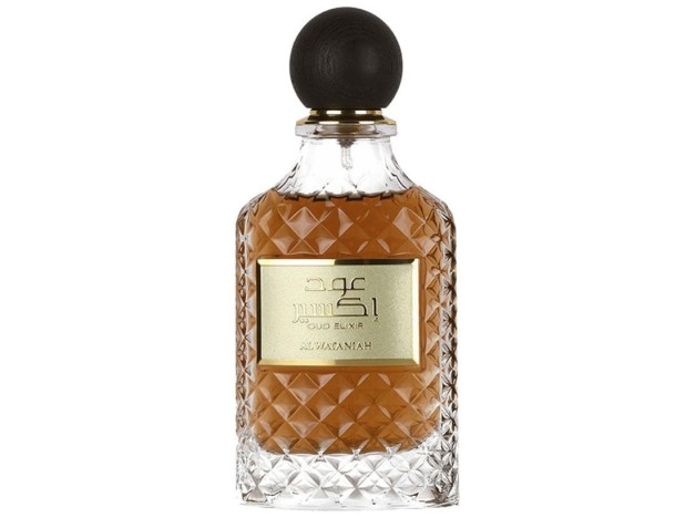 Oud Elixir Edp Vapo 100 Ml
