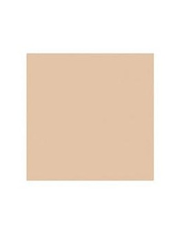 Delfy Foundation Base De...