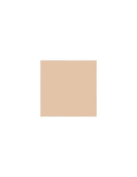 Delfy Foundation Base De Maquillaje Waterproof 10 Beige 35 Ml