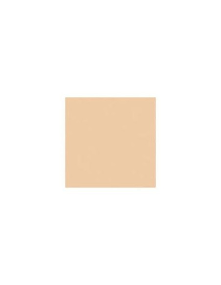 Delfy Foundation Base De Maquillaje Waterproof 10 Natural 35 Ml