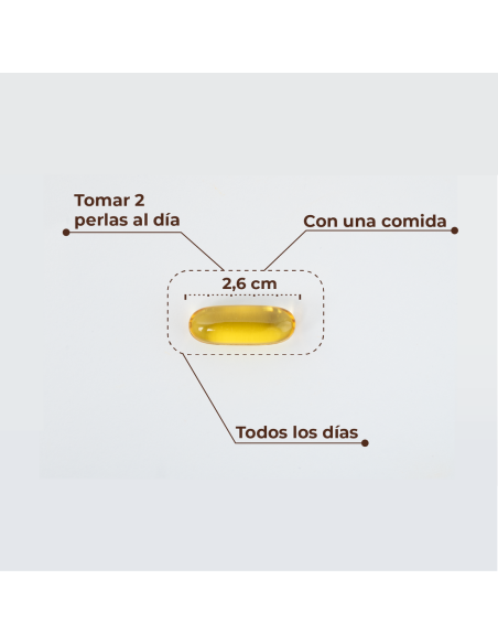Kobho Omega 3 60 Perlas