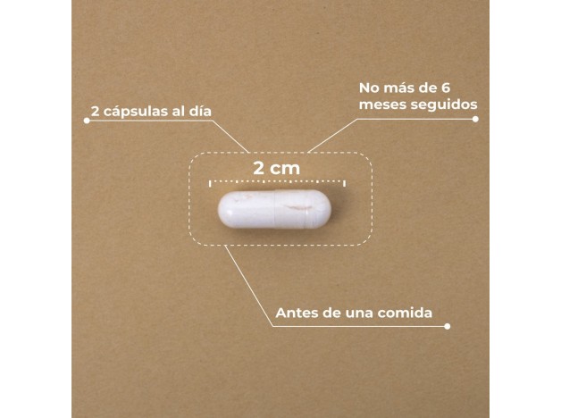 Kobho Pre·Post Probiotic 60 Cápsulas