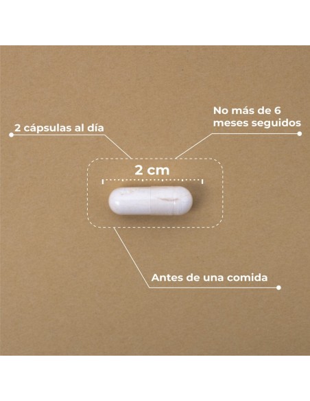 Kobho Pre·Post Probiotic 60 Cápsulas
