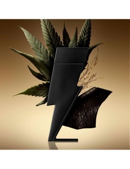 Carolina Herrera Bad Boy...